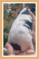 processed/ffd0e59d-5166-4e09-9246-76c9d723c744/listing/94519db4-b99e-4491-8e94-1edfc7836b81/31f3cbcb-6404-4591-b81a-2c8cc2db3bca