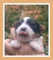 processed/ffd0e59d-5166-4e09-9246-76c9d723c744/listing/94519db4-b99e-4491-8e94-1edfc7836b81/3ff3ac8a-308b-41f5-ab82-a6f3df4b5ac1