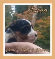 processed/ffd0e59d-5166-4e09-9246-76c9d723c744/listing/94519db4-b99e-4491-8e94-1edfc7836b81/63b0311e-bacb-486e-adf0-76af5f04e510