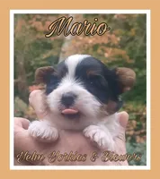 processed/ffd0e59d-5166-4e09-9246-76c9d723c744/listing/94519db4-b99e-4491-8e94-1edfc7836b81/6494175f-2f30-4de9-99ba-4eec4690a519