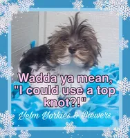 processed/ffd0e59d-5166-4e09-9246-76c9d723c744/listing/9a6dee9e-b1f9-4014-861b-15d0722d1593/90a00da6-6da5-471a-8880-85783bea7c7d