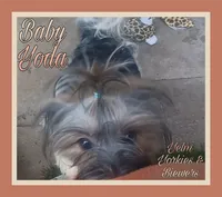 processed/ffd0e59d-5166-4e09-9246-76c9d723c744/listing/9a6dee9e-b1f9-4014-861b-15d0722d1593/e2d1c34d-2cf2-4d73-b1d6-4f0394dc38cc