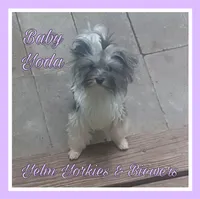 processed/ffd0e59d-5166-4e09-9246-76c9d723c744/listing/9a6dee9e-b1f9-4014-861b-15d0722d1593/fd59346b-0d16-46a6-ab70-55a028f920c5