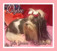 processed/ffd0e59d-5166-4e09-9246-76c9d723c744/listing/a62669ff-857e-4a53-aa7d-8e4bffb9bf62/58691314-5b85-4e4f-bccd-a97d7b6b6772