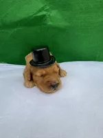 Golden Boy, a male Miniature Goldendoodle for sale in Lebanon, IL – Photo 4 of 4