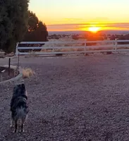 processed/ffd65031-0d00-4bf6-a671-251a80e18cde/facility/2aee0a04-9156-48a5-a862-a39ec991fd62