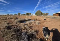 processed/ffd65031-0d00-4bf6-a671-251a80e18cde/facility/48400a52-f531-4760-83c2-bbd7f14883b9