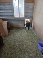 processed/ffd65031-0d00-4bf6-a671-251a80e18cde/facility/48bebc4c-9dfa-4ea9-ac8c-723816dc0731