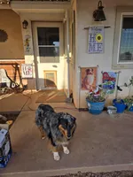 processed/ffd65031-0d00-4bf6-a671-251a80e18cde/facility/9d87fc69-d64e-42b4-ac3b-80eaa9c9e225