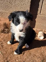 processed/ffd65031-0d00-4bf6-a671-251a80e18cde/listing/2be83586-3909-4cdd-8c0c-76a7f3b38699/47d55717-a232-49a6-a3b7-248e37dd29f1