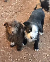 processed/ffd65031-0d00-4bf6-a671-251a80e18cde/listing/2be83586-3909-4cdd-8c0c-76a7f3b38699/5bccdcbc-977c-4950-9f06-d972fd705b45