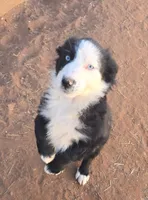 processed/ffd65031-0d00-4bf6-a671-251a80e18cde/listing/2be83586-3909-4cdd-8c0c-76a7f3b38699/78f58a60-e954-4825-9099-aa122ed12f23