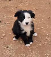 processed/ffd65031-0d00-4bf6-a671-251a80e18cde/listing/2be83586-3909-4cdd-8c0c-76a7f3b38699/aa04d27f-1780-4305-a858-c6f13a66b964