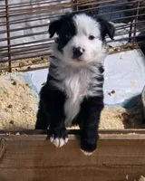 processed/ffd65031-0d00-4bf6-a671-251a80e18cde/listing/2be83586-3909-4cdd-8c0c-76a7f3b38699/bb7d0091-6434-4371-a1ec-54d538f7ecdb