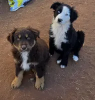 processed/ffd65031-0d00-4bf6-a671-251a80e18cde/listing/2be83586-3909-4cdd-8c0c-76a7f3b38699/bfc91c40-895a-4dd5-b267-cebbc148f1d1