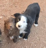 processed/ffd65031-0d00-4bf6-a671-251a80e18cde/listing/2be83586-3909-4cdd-8c0c-76a7f3b38699/e220124f-f09b-48bc-85ff-e8d466e64989