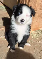 processed/ffd65031-0d00-4bf6-a671-251a80e18cde/listing/2be83586-3909-4cdd-8c0c-76a7f3b38699/e4c37451-8862-4a61-afab-e788f334f03c