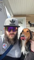 Haiti , a male Collie for sale in Dunmore, PA – 2 of 9