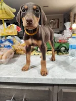 processed/ffedcf87-b96a-4890-b69f-35a0d93e2833/listing/f1bf728c-b451-4b3f-a6c4-eebbc20072ef/3ff07e35-87df-4e13-9cbe-8ba6c9486729