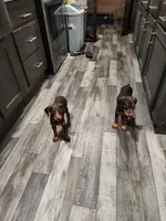 processed/ffedcf87-b96a-4890-b69f-35a0d93e2833/listing/f1bf728c-b451-4b3f-a6c4-eebbc20072ef/8d80eb74-82c6-494c-9485-7574859e07a9