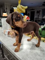 processed/ffedcf87-b96a-4890-b69f-35a0d93e2833/listing/f1bf728c-b451-4b3f-a6c4-eebbc20072ef/bc3b76db-d0a6-4dd4-bbeb-dc5e55318f24