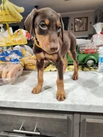 processed/ffedcf87-b96a-4890-b69f-35a0d93e2833/listing/f1bf728c-b451-4b3f-a6c4-eebbc20072ef/e9b481ab-925e-46c9-a14d-4b7e90bca54d