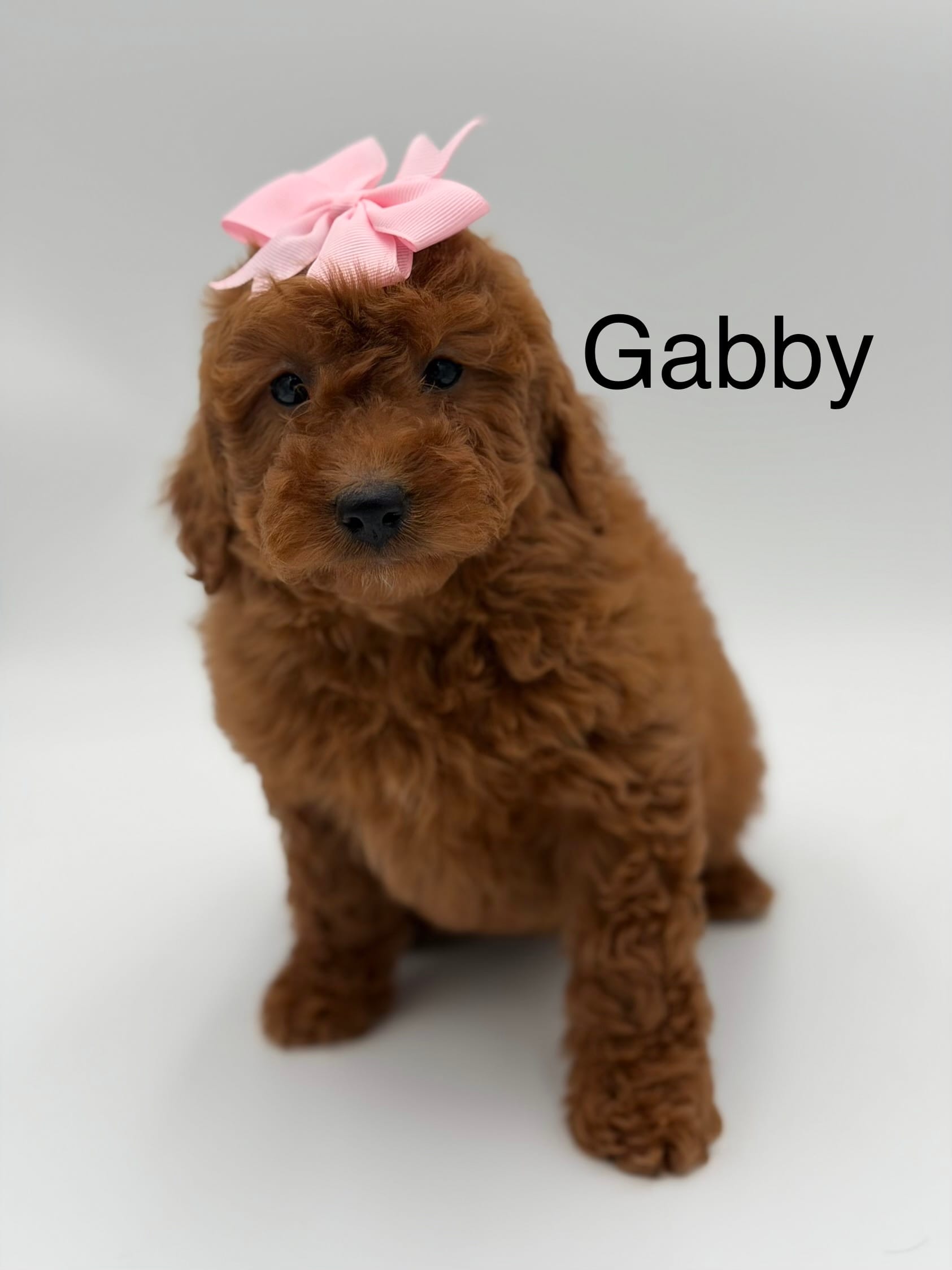 Gabby 