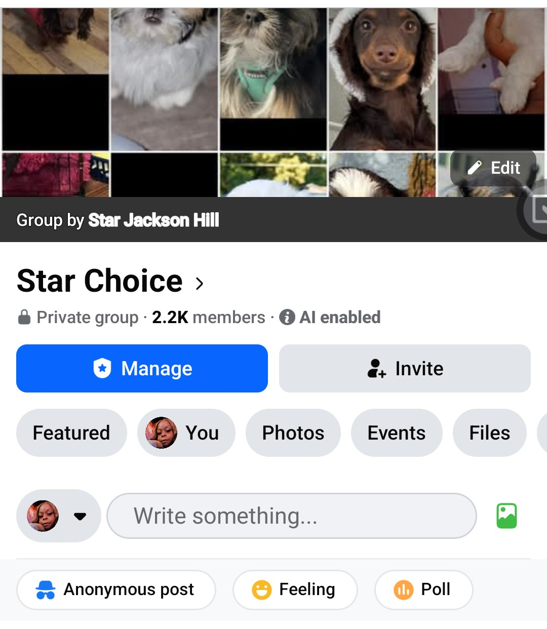 Rain, a female Shih Tzu and Shichon for sale in Macon, GA – Photo 9 of 10