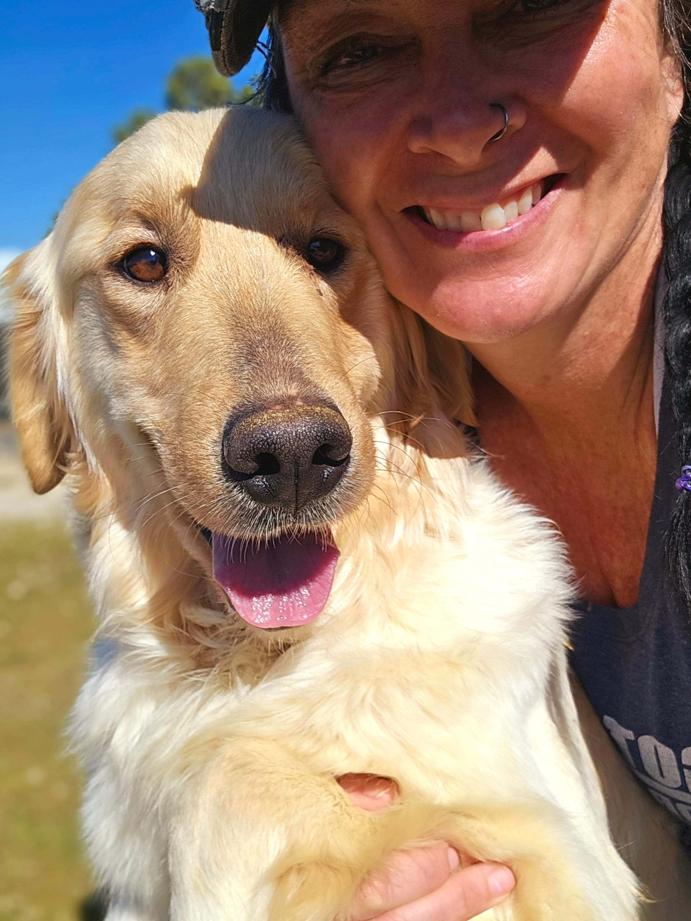 Charity – Golden Retriever puppy for sale in Marshfield, MO