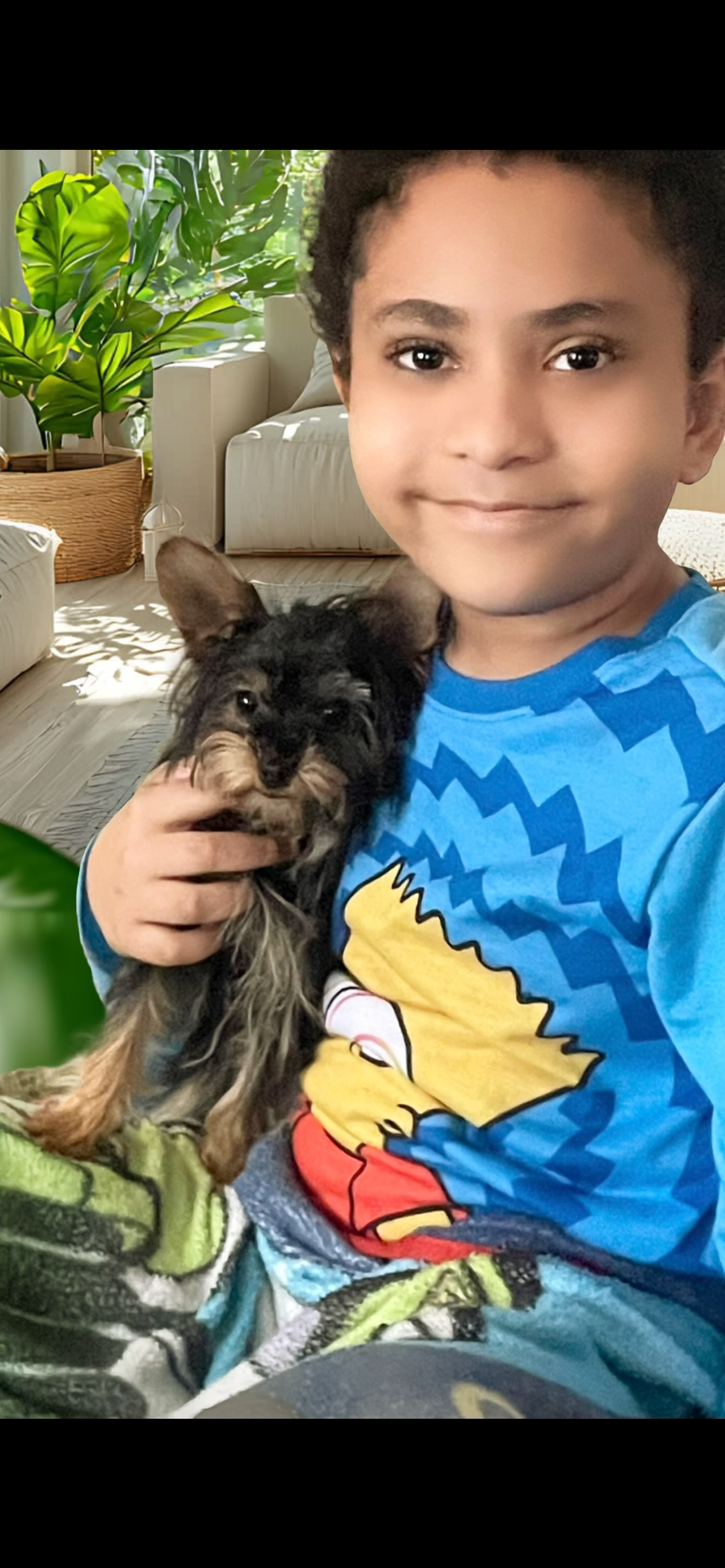 Selena, a female Yorkshire Terrier for sale in Rembert, SC – Photo 7 of 10