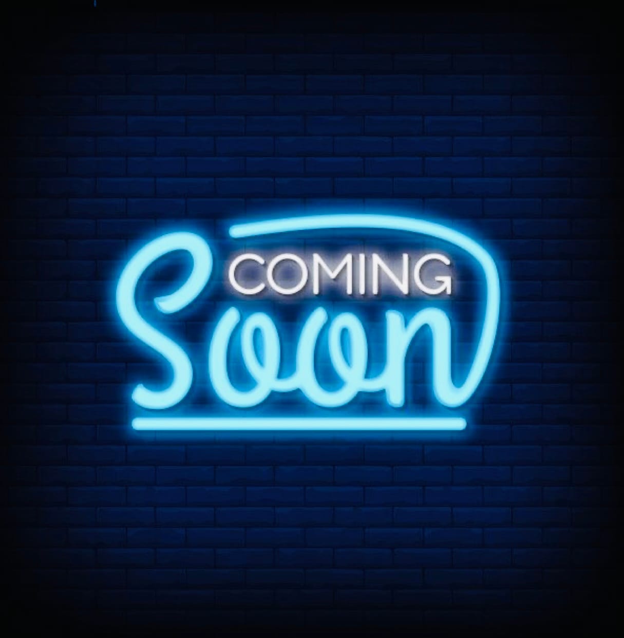 Cuties – Shih Tzu puppy for sale in Leslie, AR