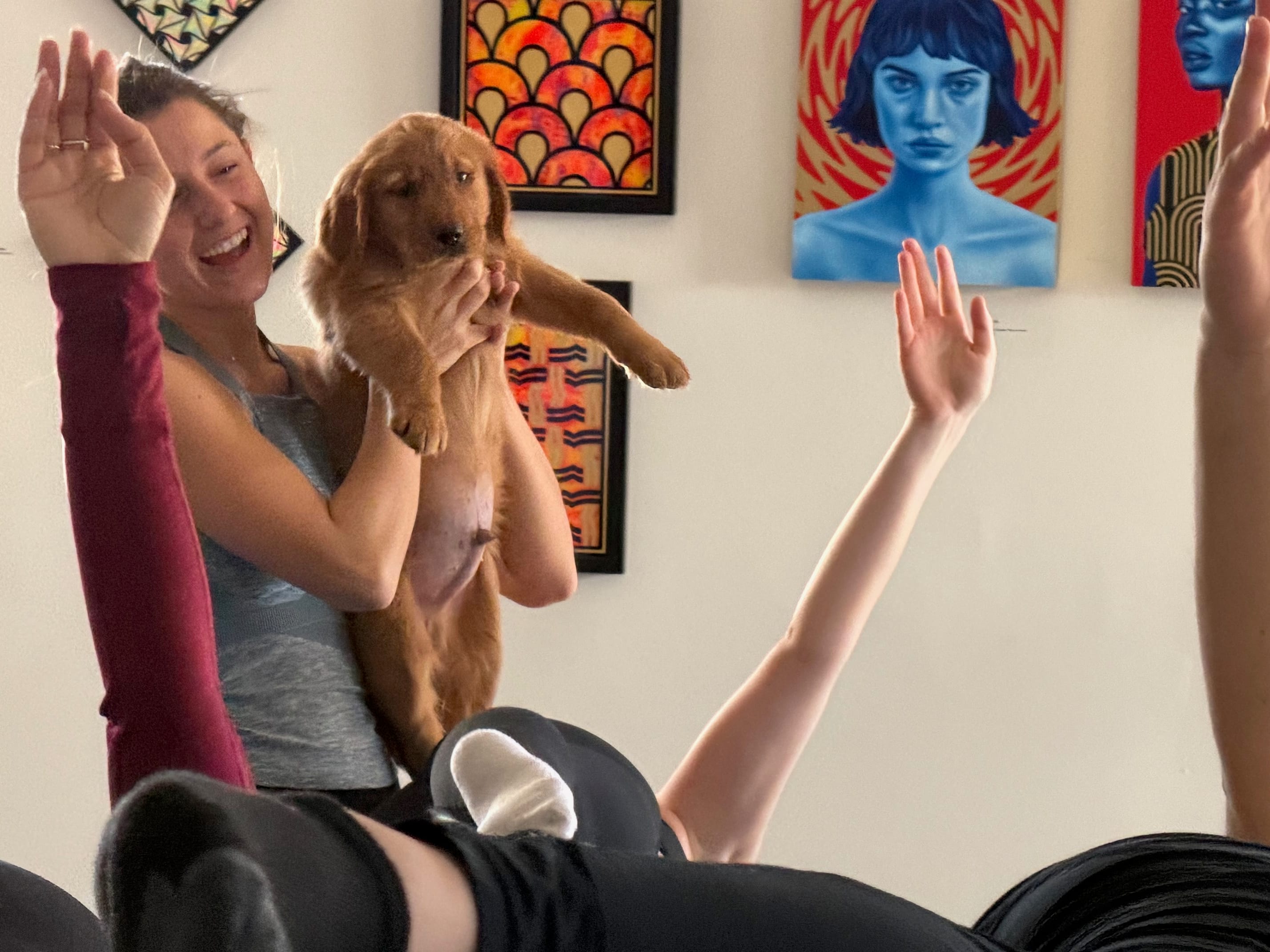 Flora – Golden Retriever puppy for sale in Woodstock, CT