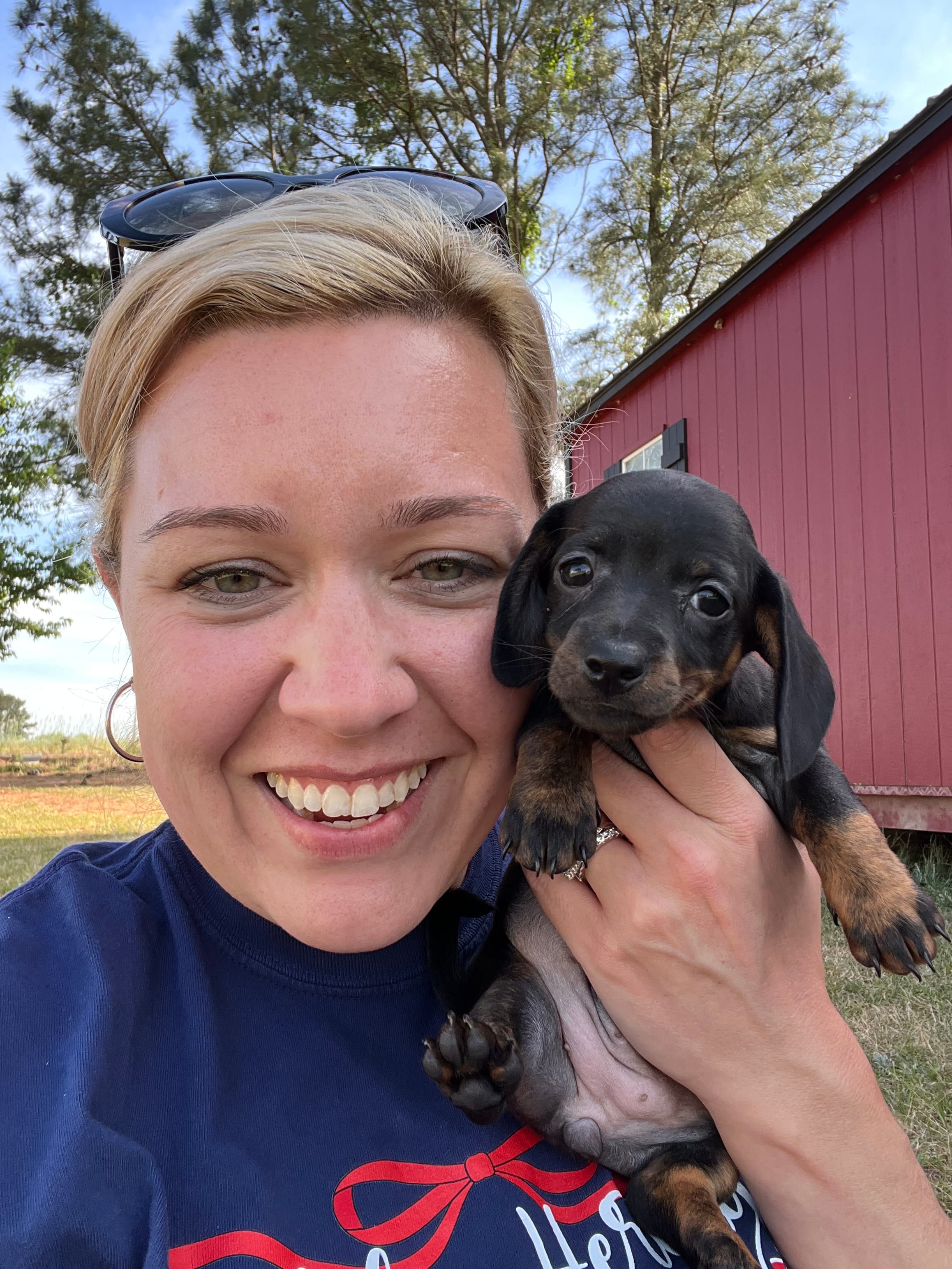 Vogue – Miniature Dachshund puppy for sale in Swainsboro, GA
