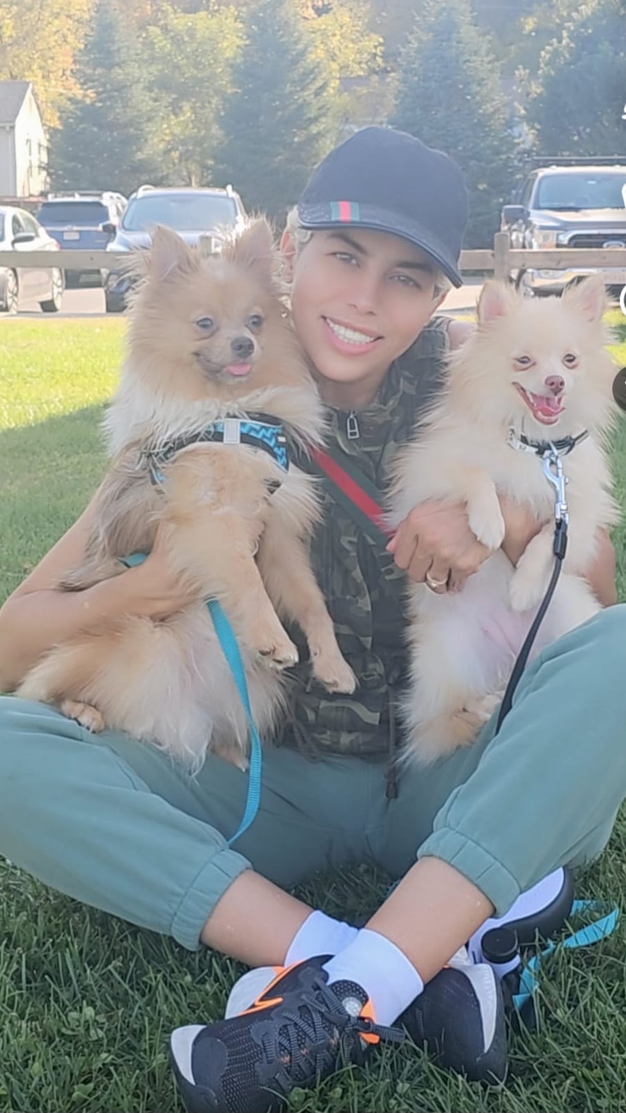 Chopper  – Pomeranian puppy for sale in Springfield, MA
