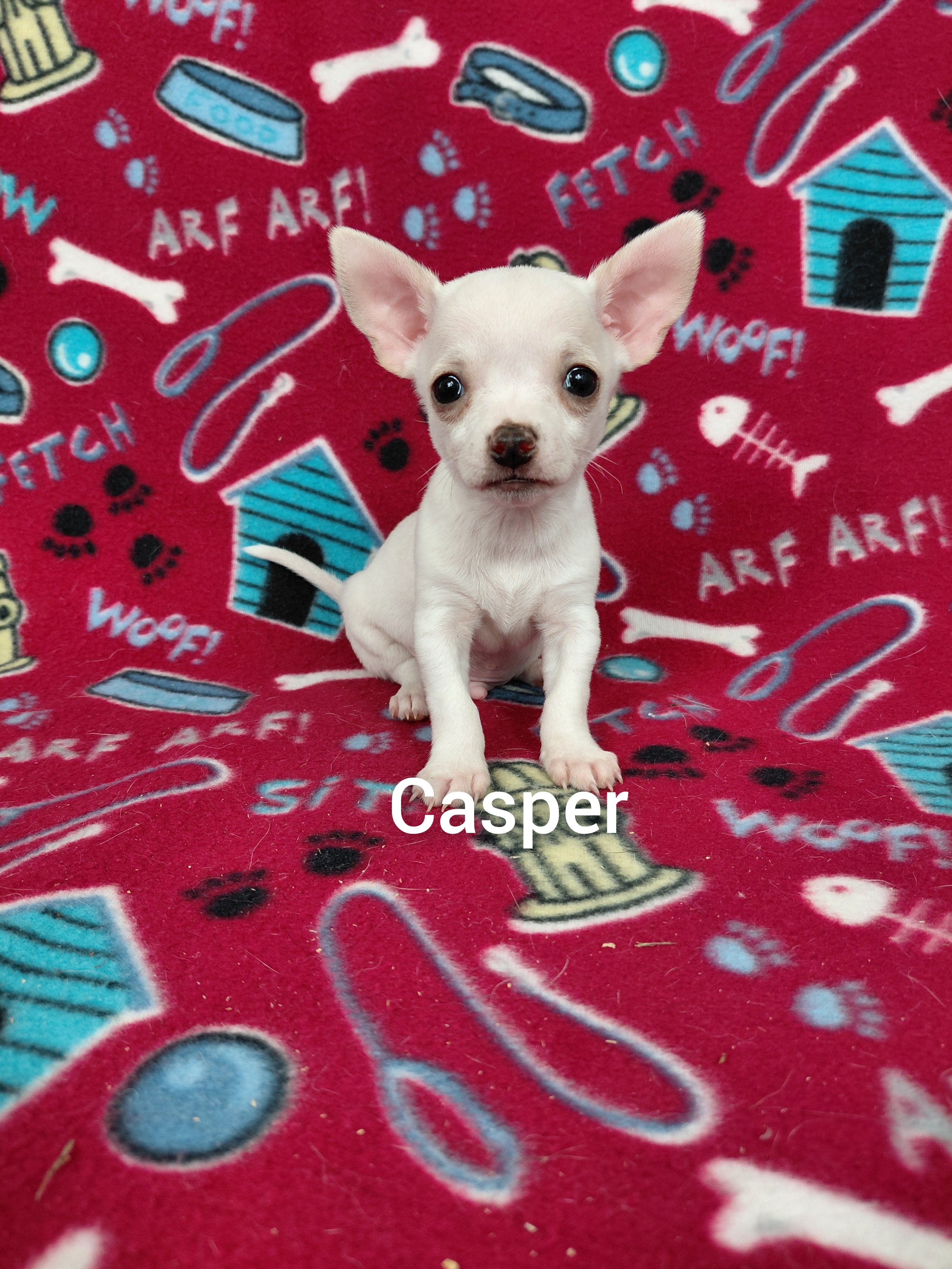 Casper