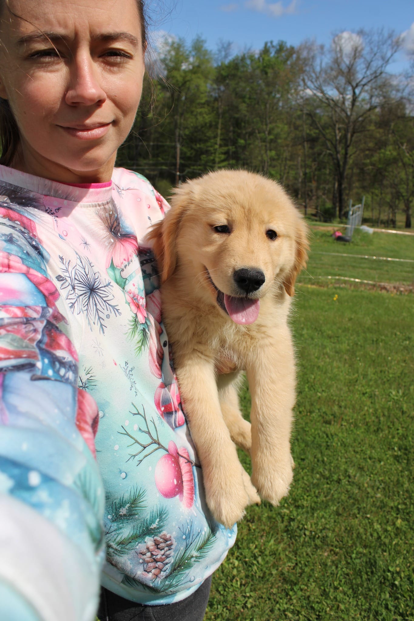 AKC Icicle – Golden Retriever puppy for sale in New Bloomfield, PA