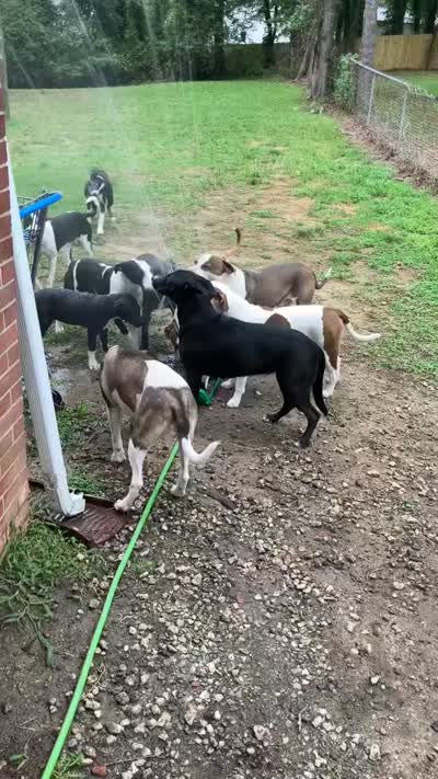 Facility video