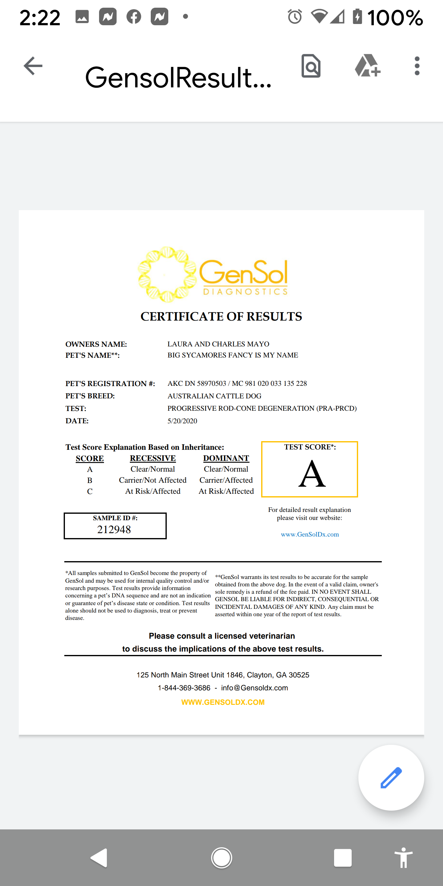 Poppy – Australian Cattle Dog puppy for sale in Calhan, CO