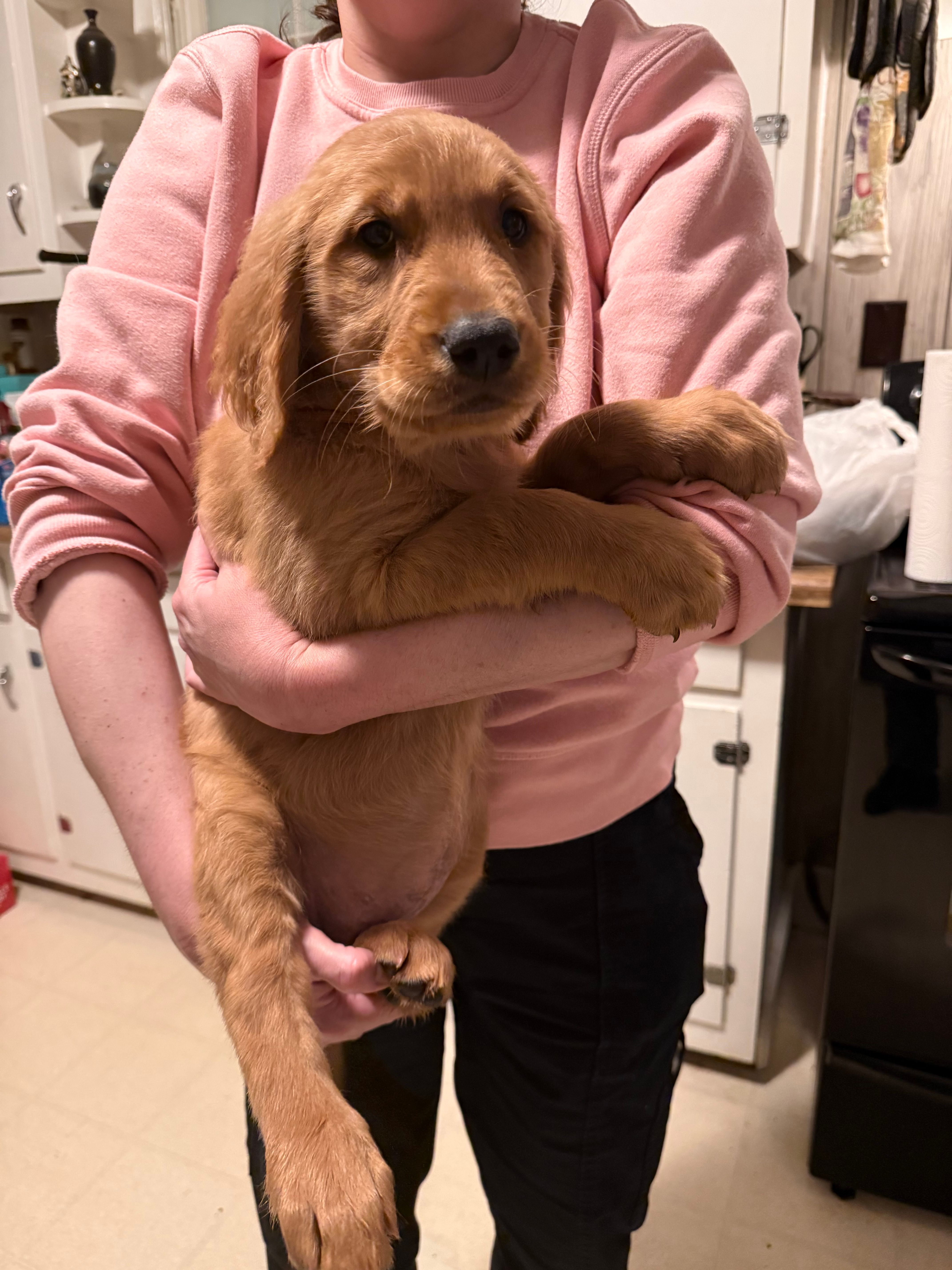 Nickname -Jelly Bean