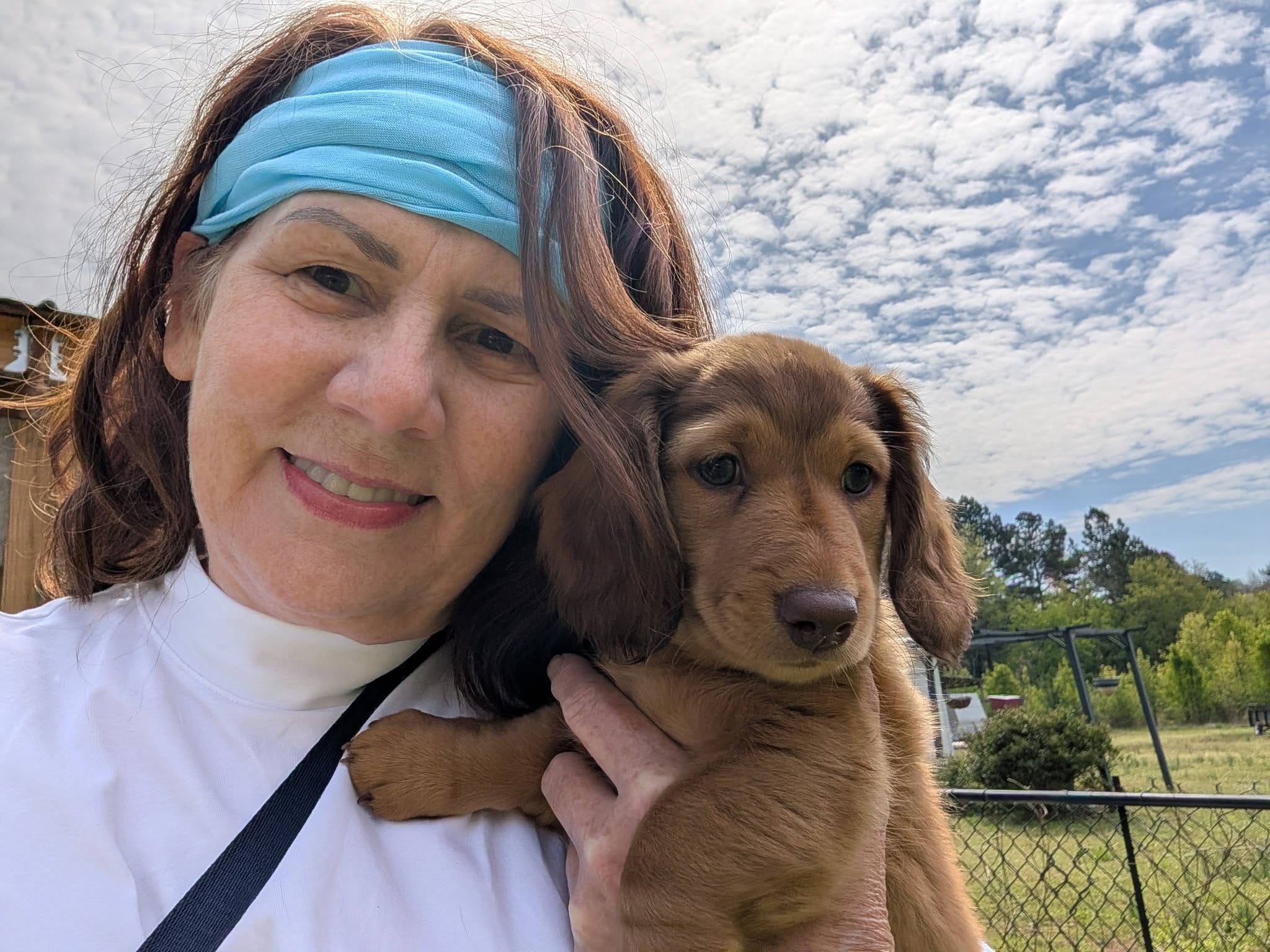 Rusty – Miniature Dachshund puppy for sale in Griffin, GA