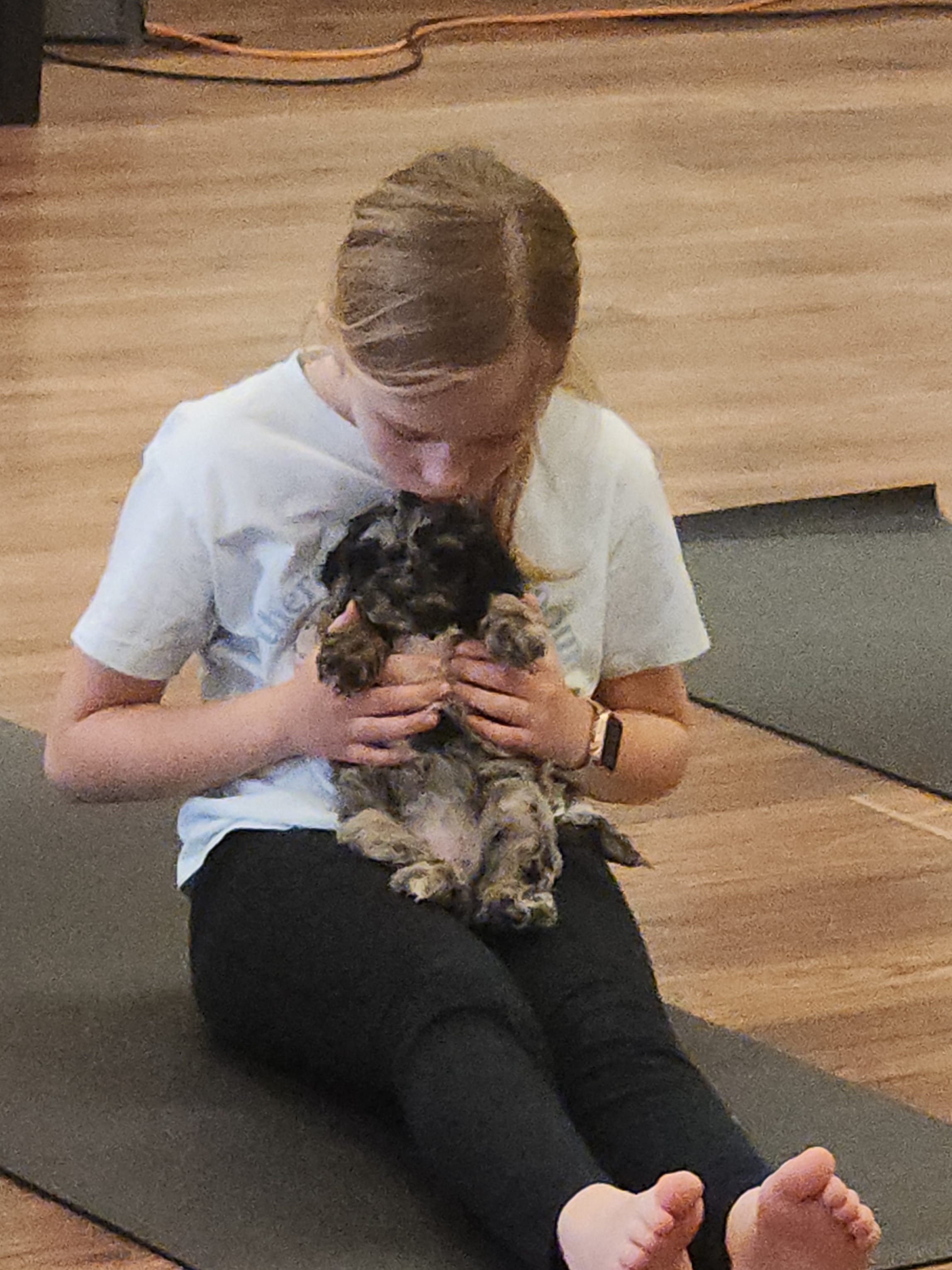 Pearl – Cockapoo, Poodle - Miniature  puppy for sale in Gig Harbor, WA