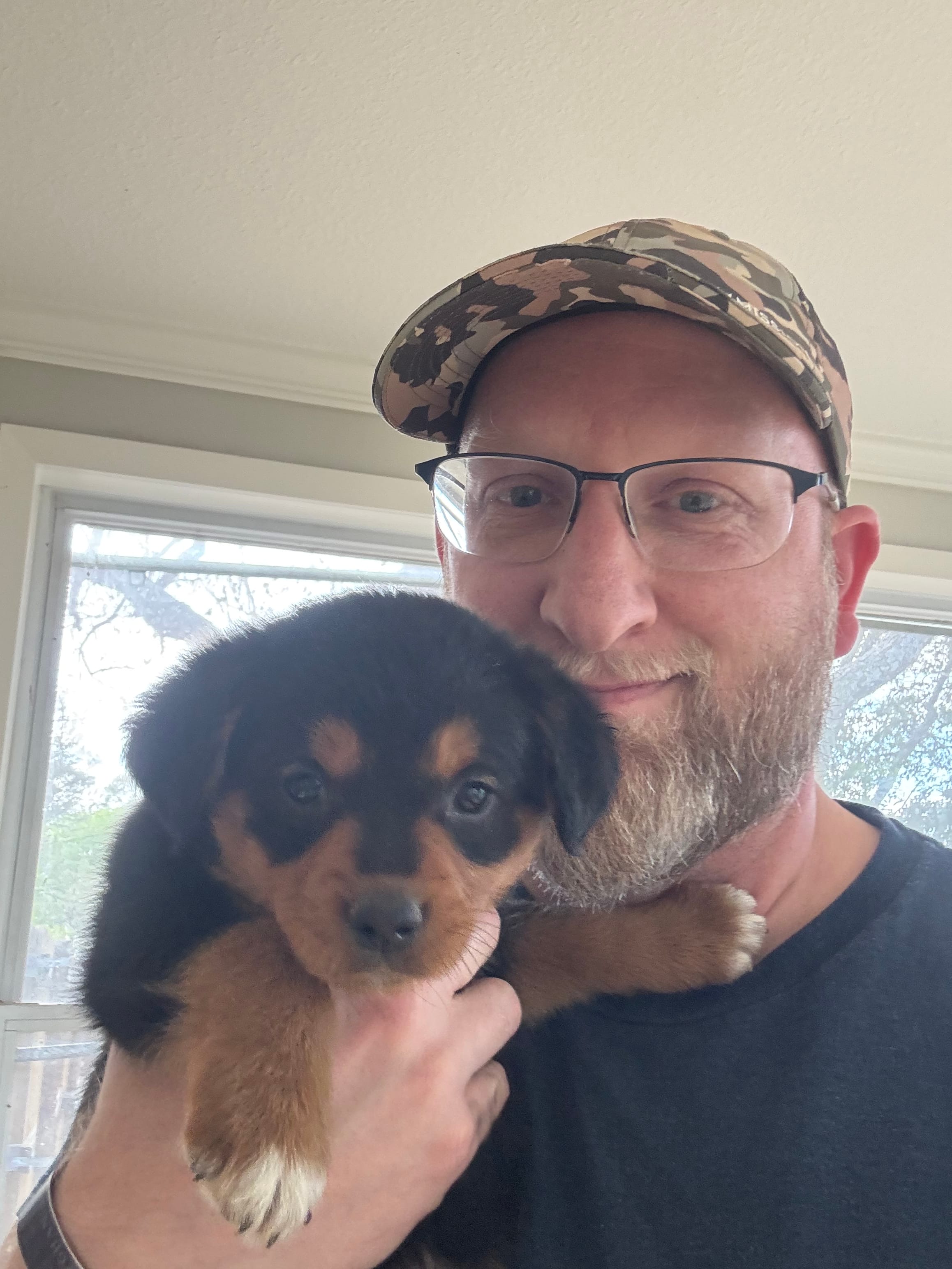 Carla Gustaf – Australian Cattle Dog, Miniature Goldendoodle puppy for sale in Arlington, TX