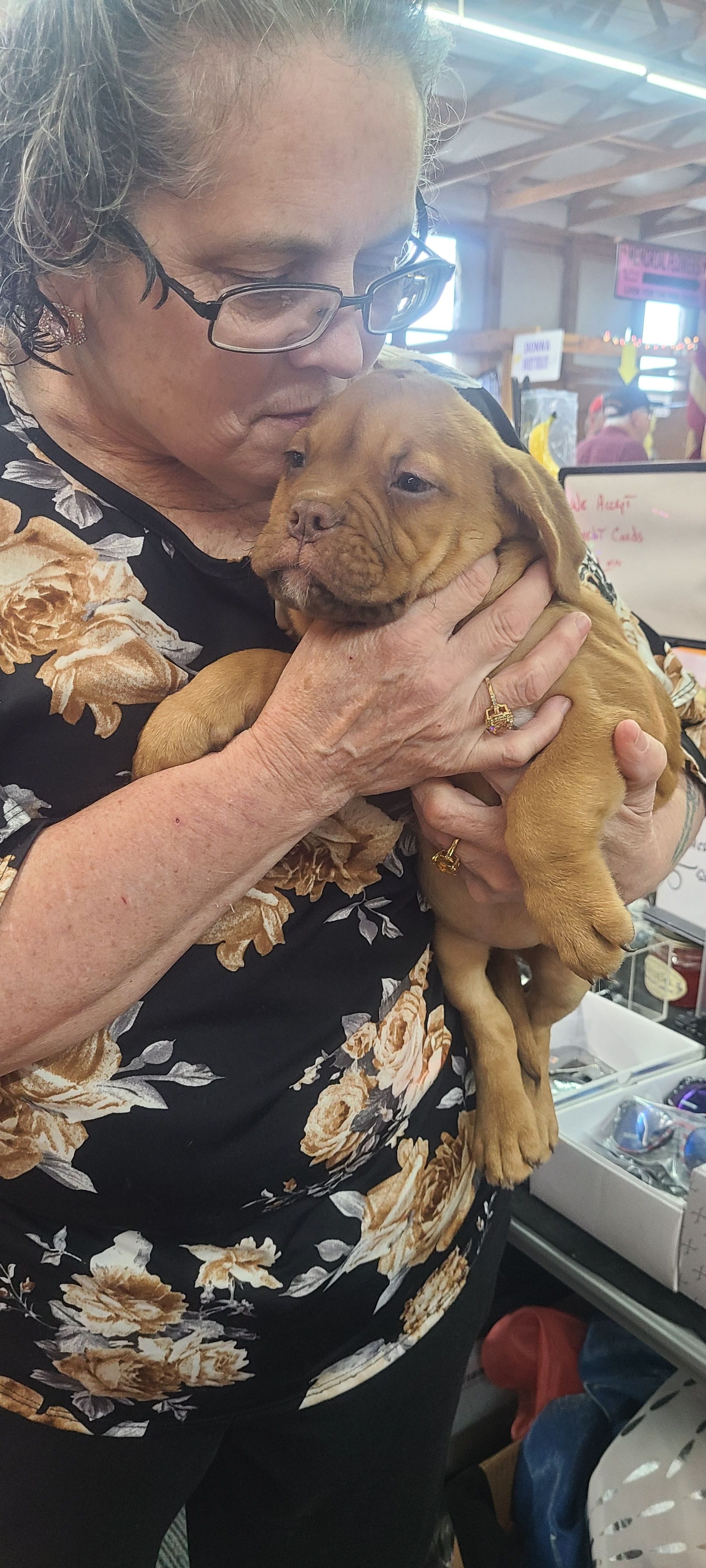 Jessie – Dogue de Bordeaux puppy for sale in Crossville, TN